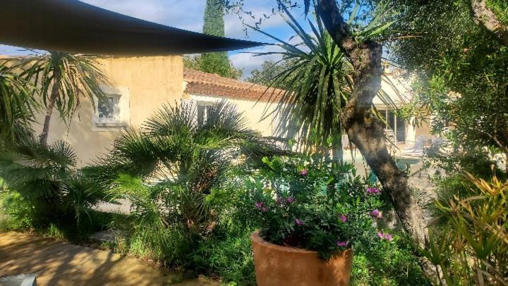 Le Clos Olives Comps  エクステリア 写真